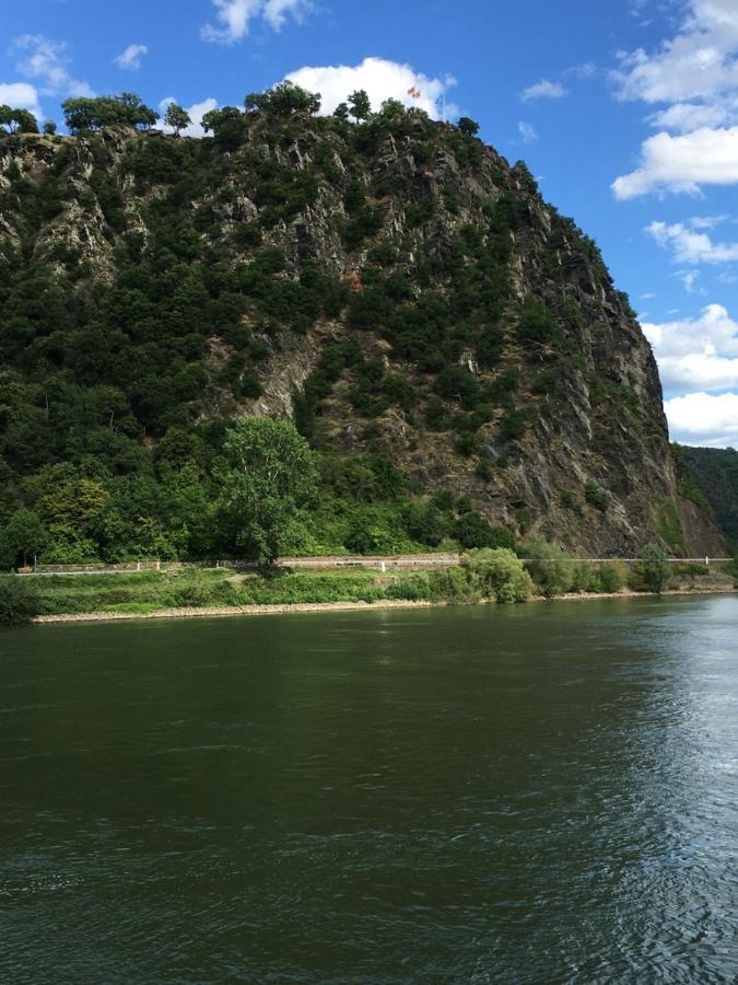 Paradiesisch Wohnen - Loreley Apartment ซังคท์โกอาร์สเฮาเซิน ภายนอก รูปภาพ